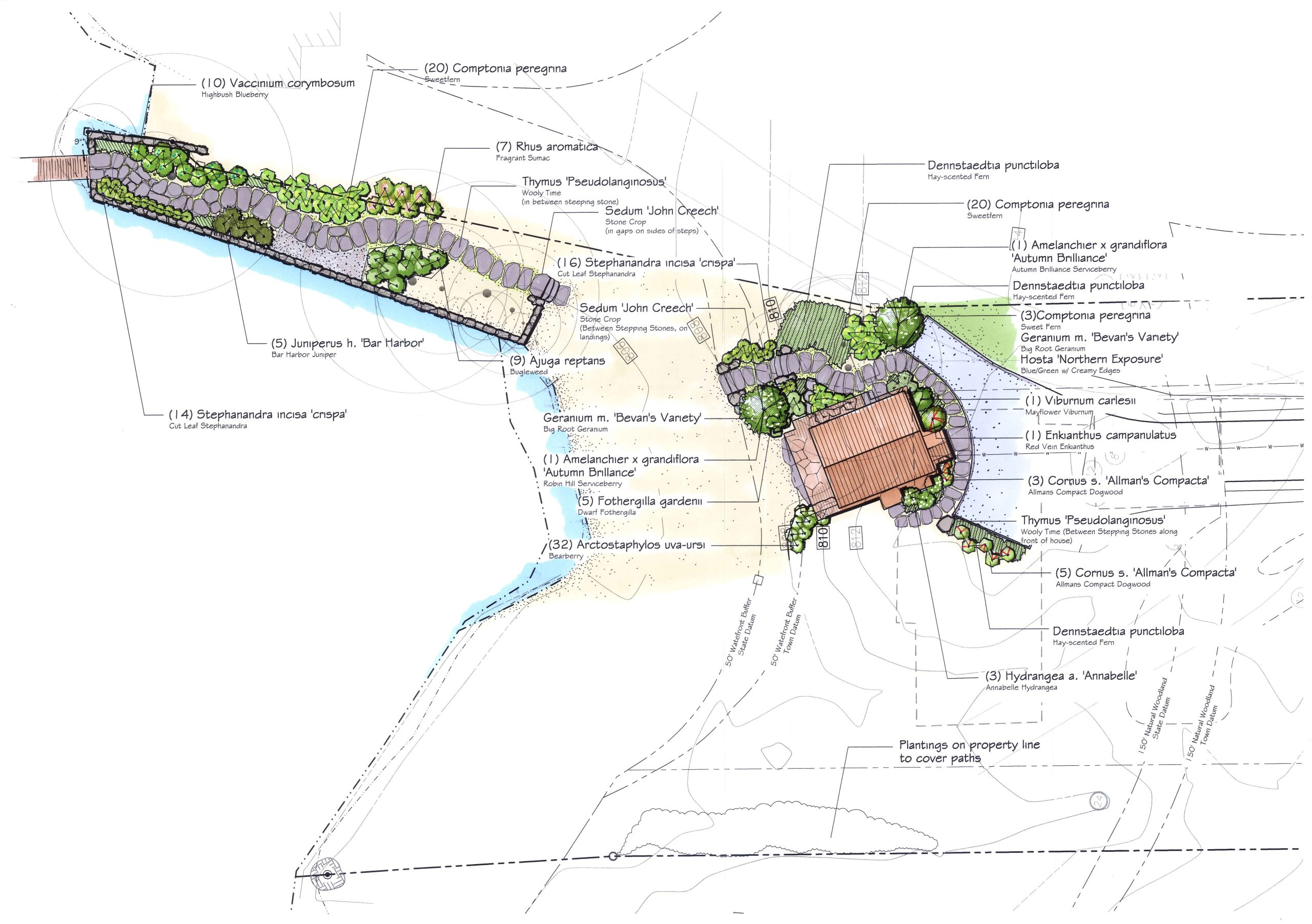 2011 DHA rendering-compressed