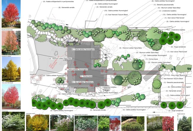 Planting Design Services